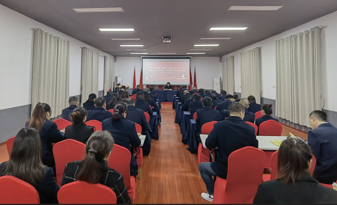 湘安实业开展学习贯彻党的二十届三中全会精神专题党课活动